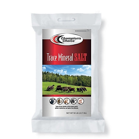 Trace Mineral Loose Salt Bag 50#