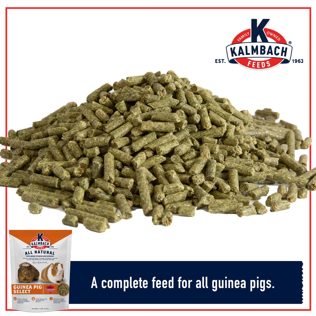 Kalmbach 22% Guinea Pig Select Pellet 8#