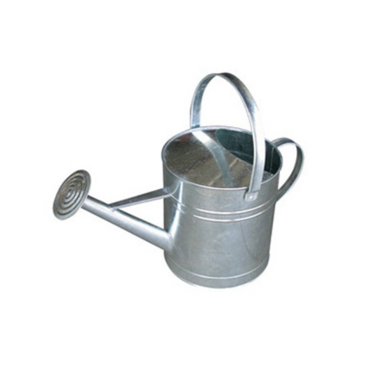 Little Giant Galvanized Watering Can - 10 qt