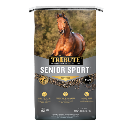 Kalmbach Tribute Senior Sport 14/10 Textured