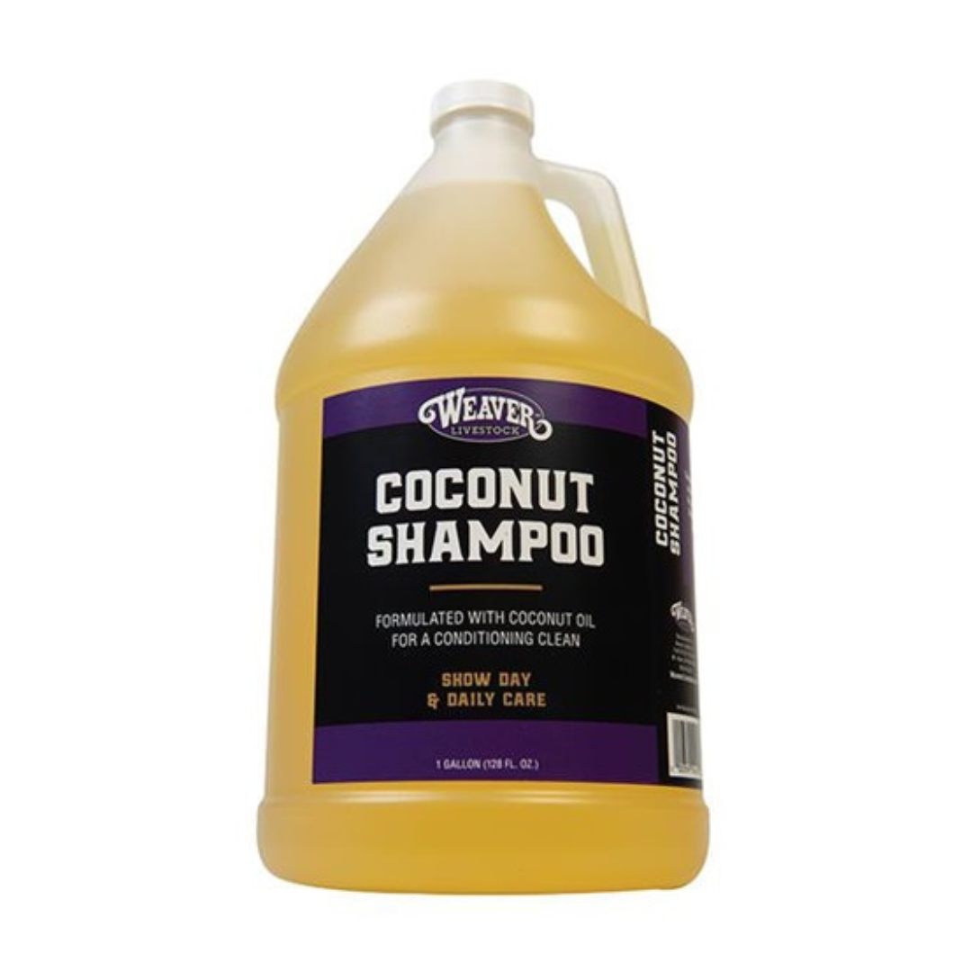 Coconut Shampoo Gallon