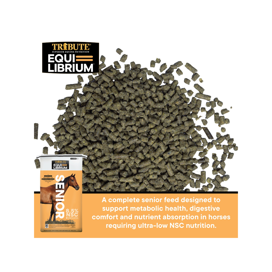 Kalmbach Equilibrium Senior Pellet 50#