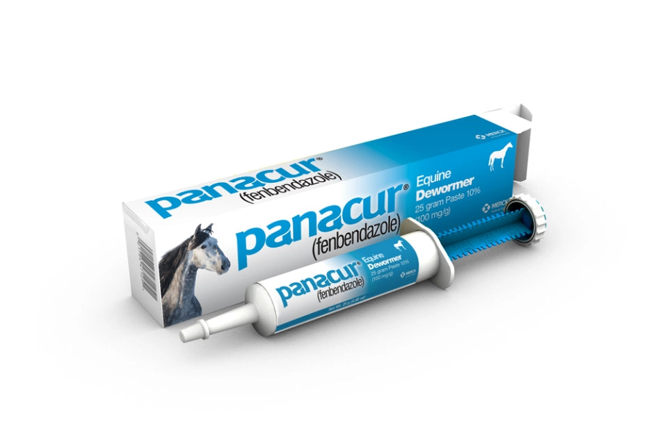 Panacur Equine Dewormer Paste