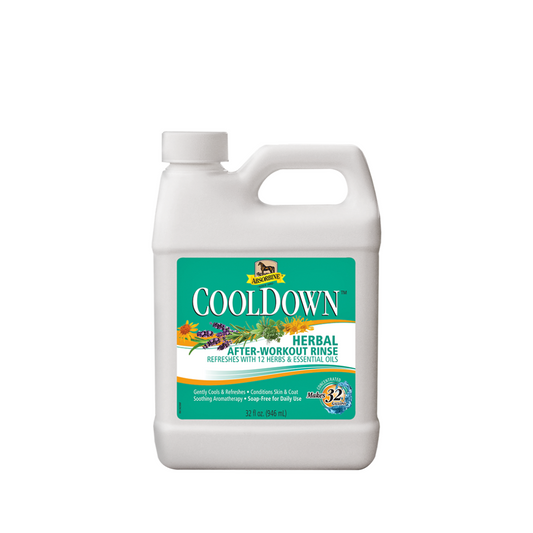 Absorbine Cool Down 32oz