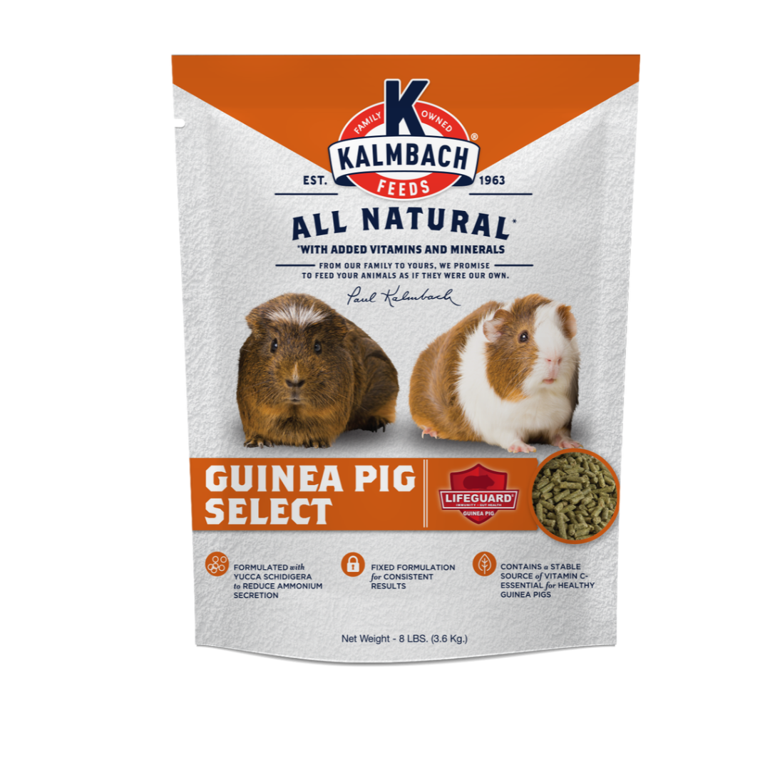 Kalmbach 22% Guinea Pig Select Pellet 8#