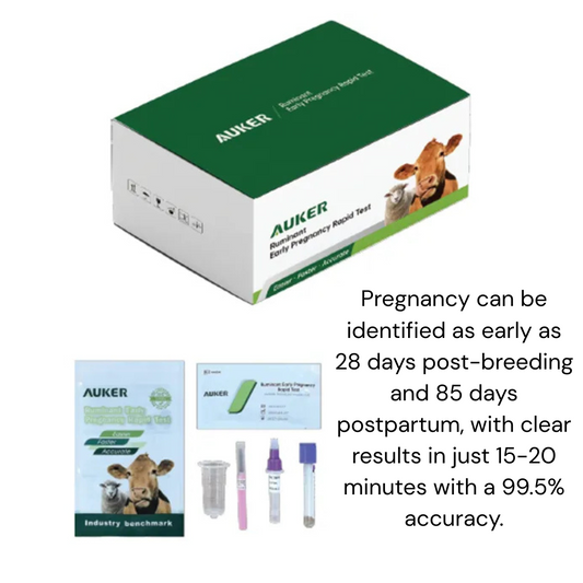 Auker Rumen Pregnancy Test