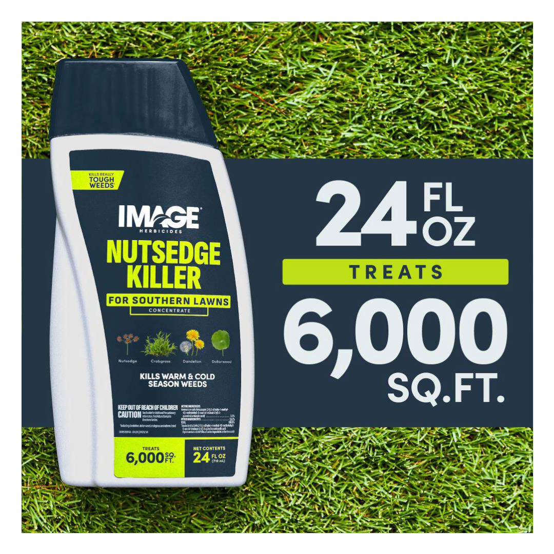 Image Nutsedge Killer for Southern Lawns Concentrate 24oz