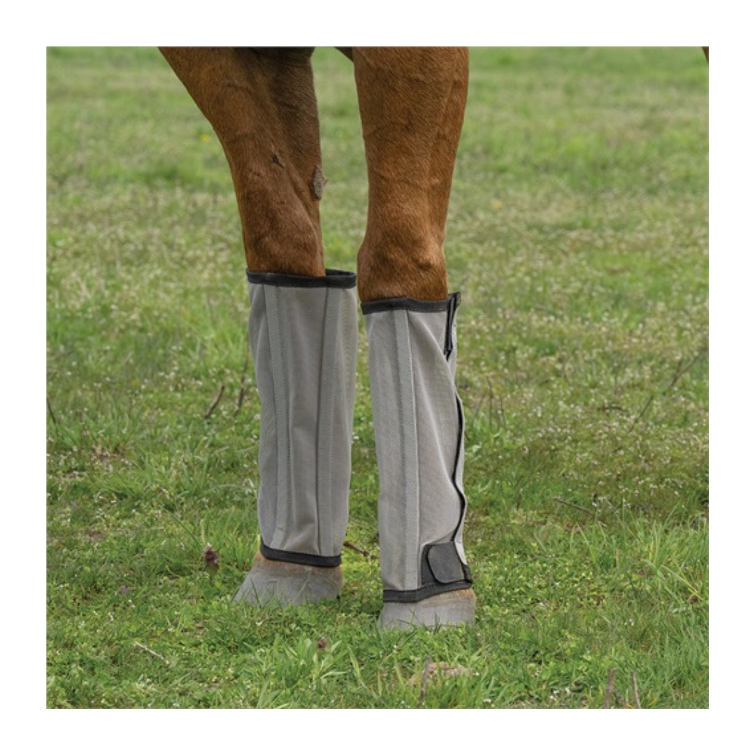 Horse Fly Boots Set of 4 Mesh