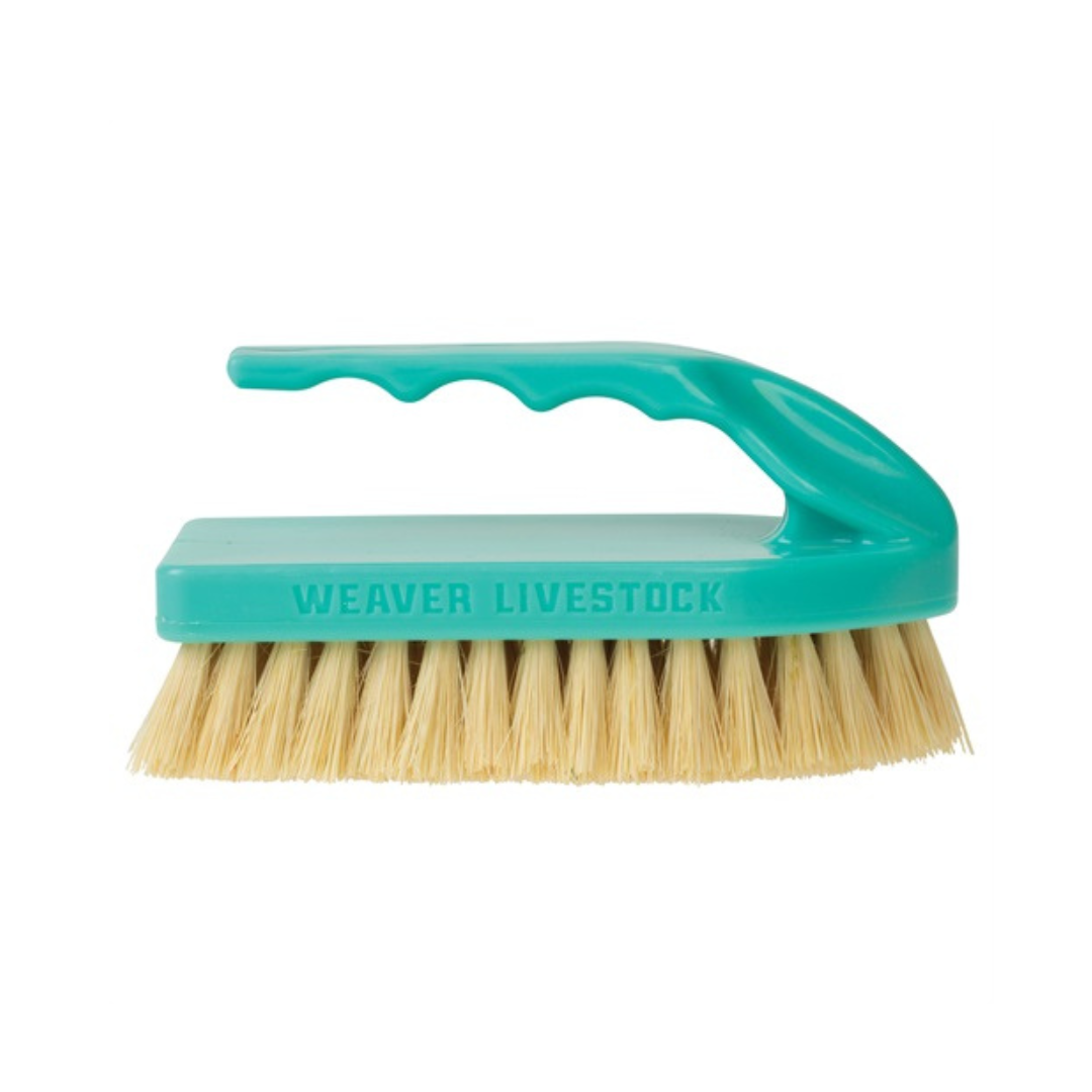 Plastic Tampico Pig Brush with Handle