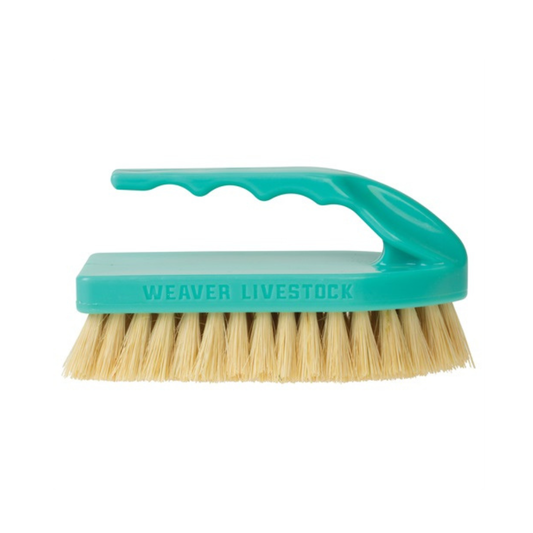 Plastic Tampico Pig Brush with Handle