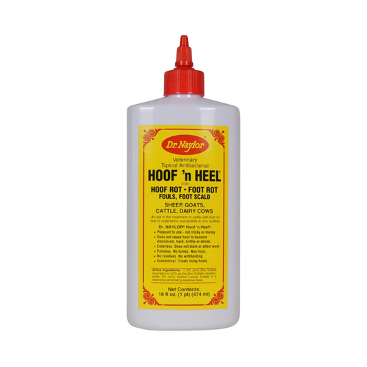 Hoof ' N Heel 16oz