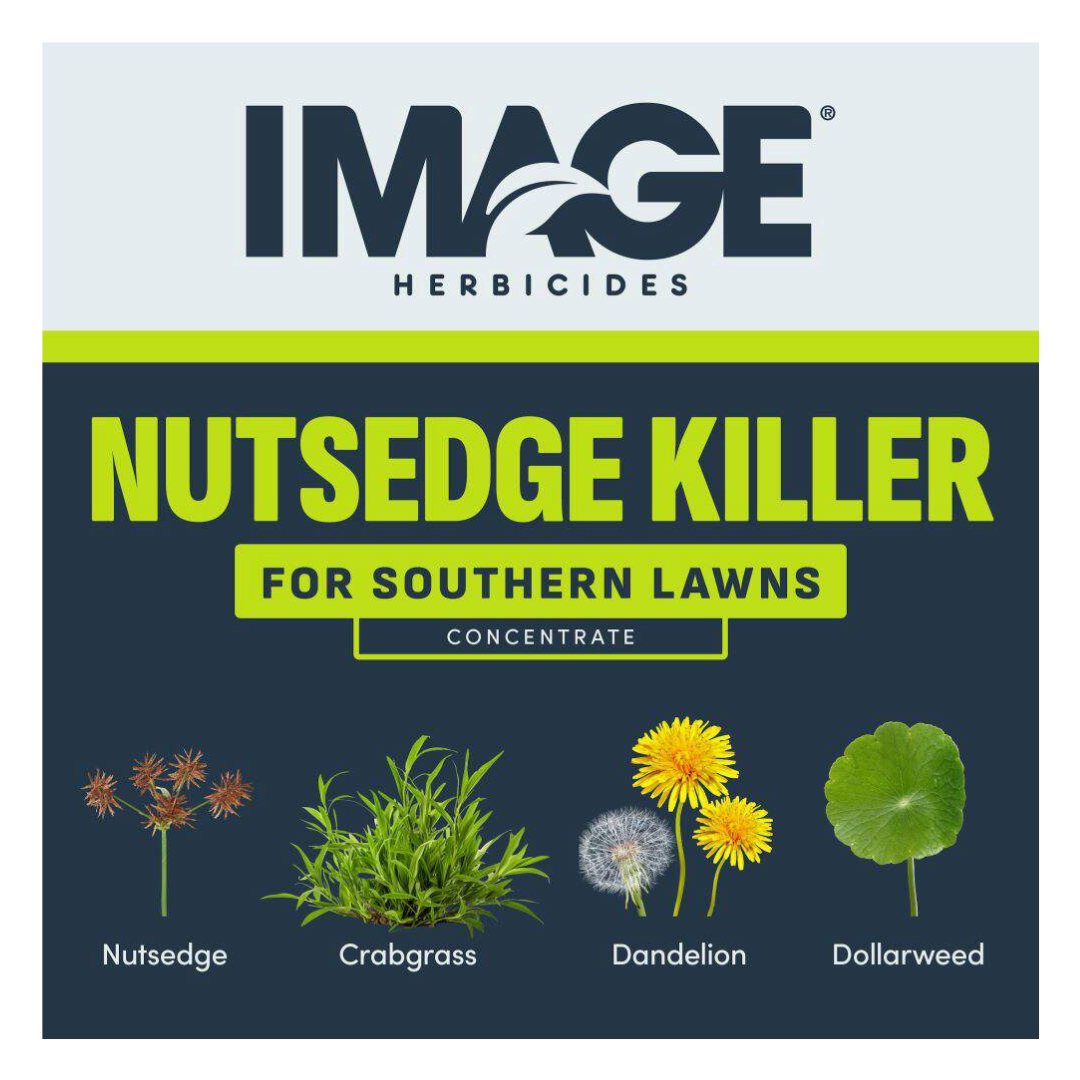 Image Nutsedge Killer for Southern Lawns Concentrate 24oz
