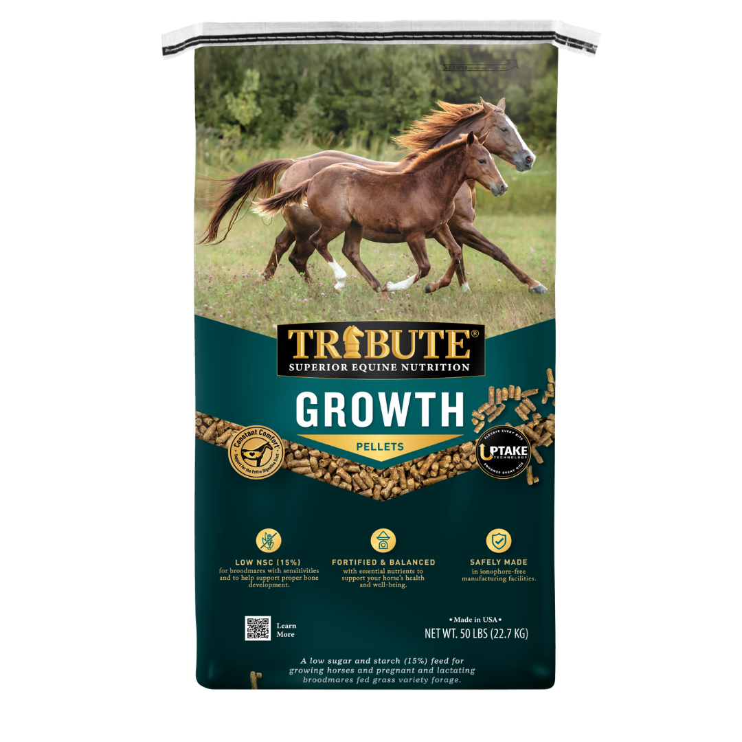 Kalmbach Tribute Growth 15/8 Pellet 50#