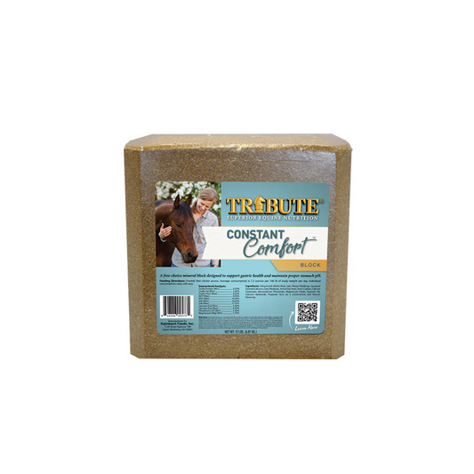 Kalmbach Tribute Equine Constant Comfort Block 33#