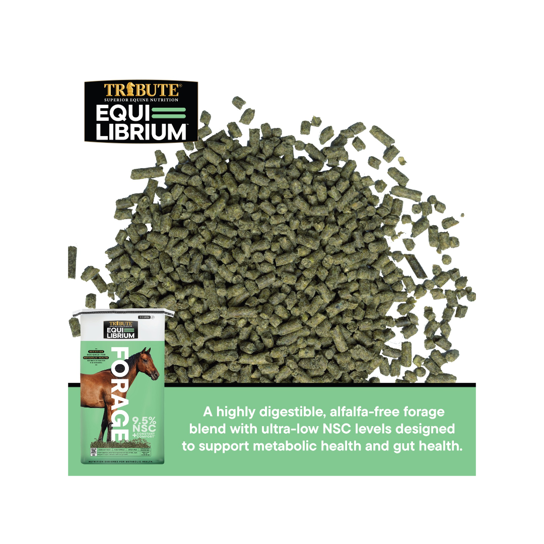 Kalmbach Equilibrium Forage Pellet 50#