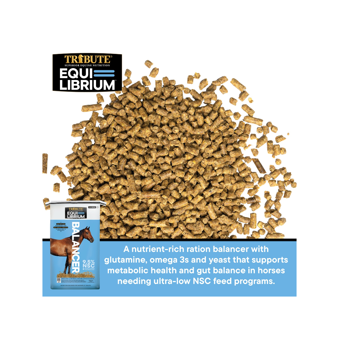 Kalmbach Equilibrium Balancer Pellet 50#