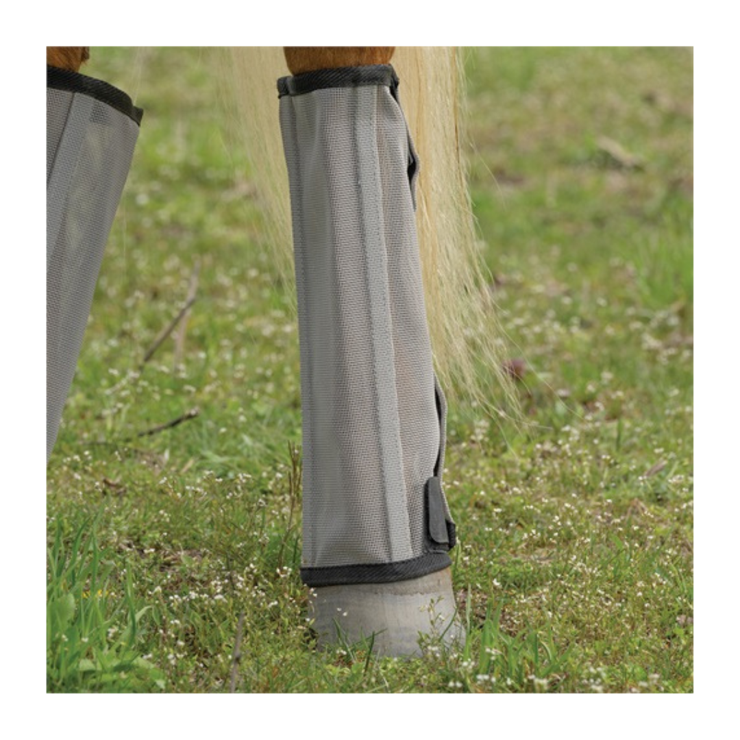 Horse Fly Boots Set of 4 Mesh