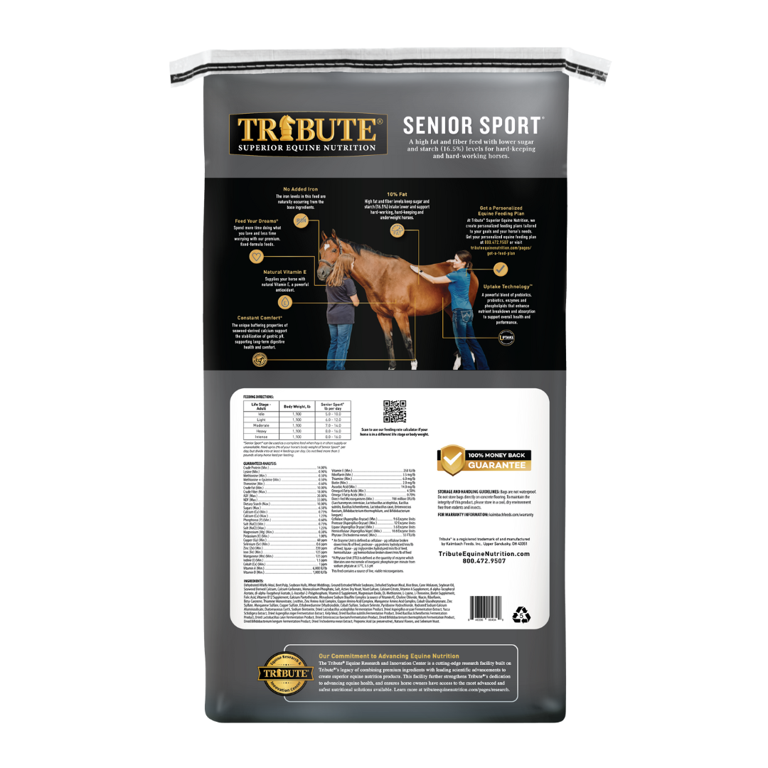 Kalmbach Tribute Senior Sport 14/10 Textured