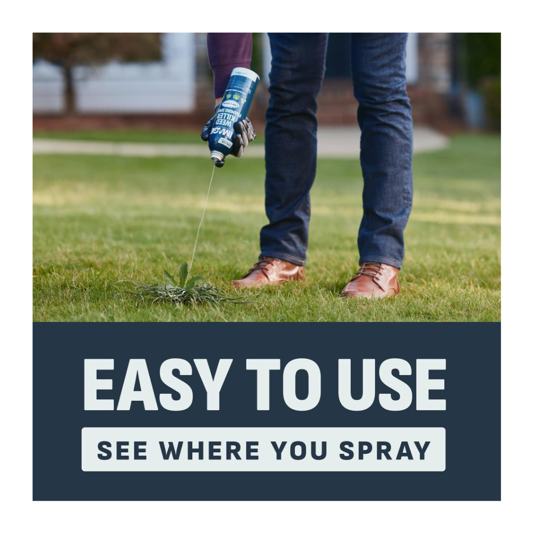 Image Weed Killer Foam 15oz